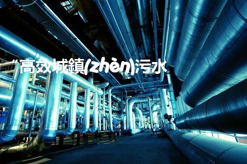 “高效城鎮(zhèn)污水處理流程，守護碧水藍(lán)天新篇章”